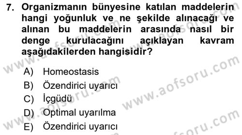 İnsan ve Davranış Dersi Ara Sınavı Deneme Sınav Soruları 7. Soru