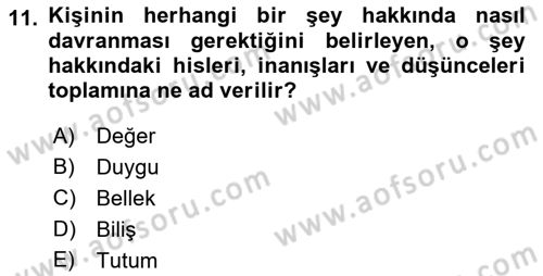 İnsan ve Davranış Dersi 2022 - 2023 Yılı (Final) Dönem Sonu Sınav Soruları 11. Soru