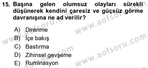 İnsan ve Davranış Dersi 2022 - 2023 Yılı (Final) Dönem Sonu Sınav Soruları 15. Soru