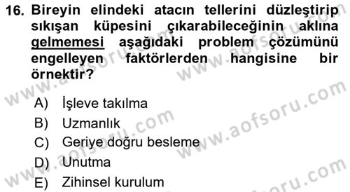 İnsan ve Davranış Dersi 2022 - 2023 Yılı (Final) Dönem Sonu Sınav Soruları 16. Soru