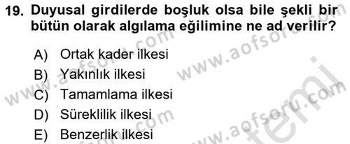 İnsan ve Davranış Dersi 2022 - 2023 Yılı Yaz Okulu Sınav Soruları 19. Soru