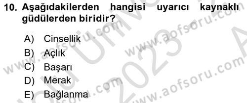 İnsan ve Davranış Dersi 2023 - 2024 Yılı (Vize) Ara Sınav Soruları 10. Soru