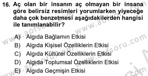 İnsan ve Davranış Dersi Ara Sınavı Deneme Sınav Soruları 16. Soru