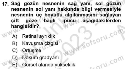 İnsan ve Davranış Dersi Ara Sınavı Deneme Sınav Soruları 17. Soru