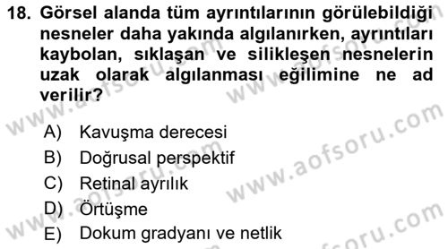 İnsan ve Davranış Dersi Ara Sınavı Deneme Sınav Soruları 18. Soru