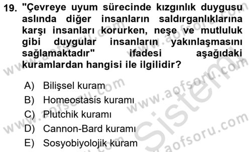 İnsan ve Davranış Dersi Ara Sınavı Deneme Sınav Soruları 19. Soru