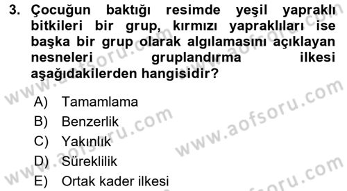 İnsan ve Davranış Dersi 2023 - 2024 Yılı (Final) Dönem Sonu Sınav Soruları 3. Soru