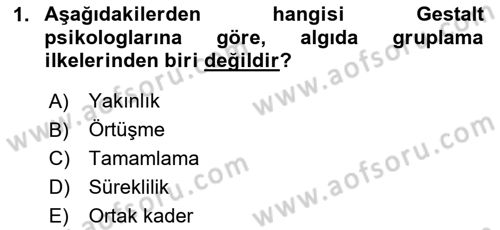 İnsan ve Davranış Dersi 2023 - 2024 Yılı Yaz Okulu Sınav Soruları 1. Soru
