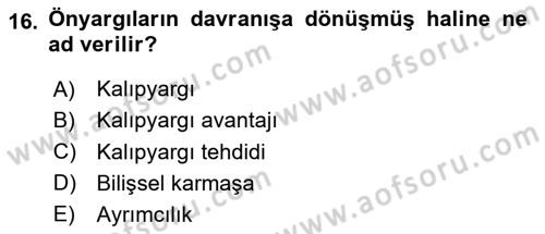 İnsan ve Davranış Dersi 2023 - 2024 Yılı Yaz Okulu Sınav Soruları 16. Soru