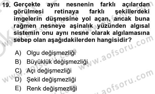 İnsan ve Davranış Dersi 2023 - 2024 Yılı Yaz Okulu Sınav Soruları 19. Soru