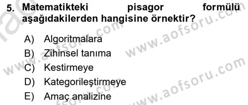 İnsan ve Davranış Dersi 2023 - 2024 Yılı Yaz Okulu Sınav Soruları 5. Soru