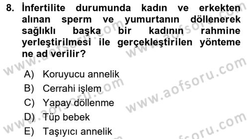 Yaşam Boyu Büyüme ve Gelişim Dersi 2017 - 2018 Yılı (Vize) Ara Sınav Soruları 8. Soru