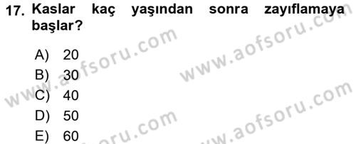 Yaşam Boyu Büyüme ve Gelişim Dersi 2017 - 2018 Yılı (Final) Dönem Sonu Sınav Soruları 17. Soru