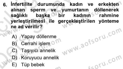 Yaşam Boyu Büyüme ve Gelişim Dersi 2018 - 2019 Yılı 3 Ders Sınav Soruları 6. Soru