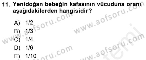 Yaşam Boyu Büyüme ve Gelişim Dersi 2018 - 2019 Yılı (Vize) Ara Sınav Soruları 11. Soru