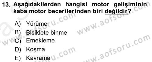 Yaşam Boyu Büyüme ve Gelişim Dersi 2018 - 2019 Yılı (Vize) Ara Sınav Soruları 13. Soru