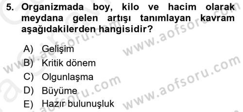 Yaşam Boyu Büyüme ve Gelişim Dersi 2018 - 2019 Yılı (Vize) Ara Sınav Soruları 5. Soru
