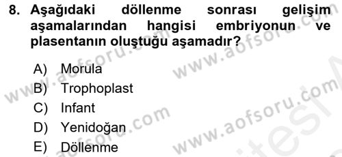 Yaşam Boyu Büyüme ve Gelişim Dersi 2018 - 2019 Yılı (Vize) Ara Sınav Soruları 8. Soru