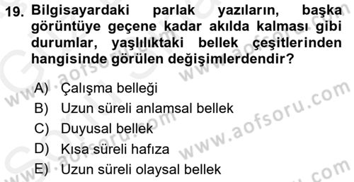 Yaşam Boyu Büyüme ve Gelişim Dersi 2018 - 2019 Yılı (Final) Dönem Sonu Sınav Soruları 19. Soru