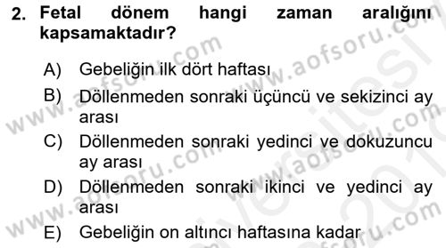 Yaşam Boyu Büyüme ve Gelişim Dersi 2018 - 2019 Yılı (Final) Dönem Sonu Sınav Soruları 2. Soru