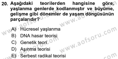 Yaşam Boyu Büyüme ve Gelişim Dersi 2018 - 2019 Yılı (Final) Dönem Sonu Sınav Soruları 20. Soru
