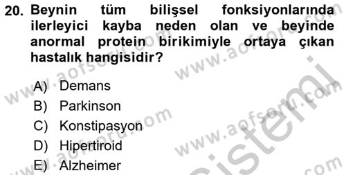 Yaşam Boyu Büyüme ve Gelişim Dersi 2018 - 2019 Yılı Yaz Okulu Sınav Soruları 20. Soru