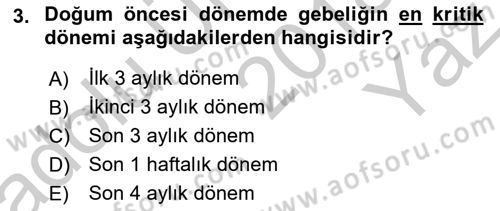 Yaşam Boyu Büyüme ve Gelişim Dersi 2018 - 2019 Yılı Yaz Okulu Sınav Soruları 3. Soru