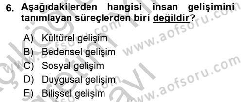 Yaşam Boyu Büyüme ve Gelişim Dersi 2018 - 2019 Yılı Yaz Okulu Sınav Soruları 6. Soru