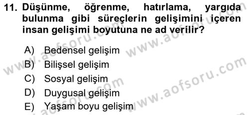 Yaşam Boyu Büyüme ve Gelişim Dersi 2019 - 2020 Yılı (Vize) Ara Sınav Soruları 11. Soru