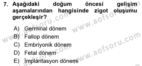 Yaşam Boyu Büyüme ve Gelişim Dersi 2019 - 2020 Yılı (Vize) Ara Sınav Soruları 7. Soru
