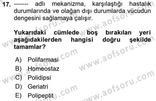 Yaşam Boyu Büyüme ve Gelişim Dersi 2019 - 2020 Yılı (Final) Dönem Sonu Sınav Soruları 17. Soru