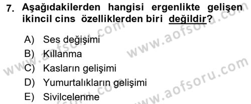 Yaşam Boyu Büyüme ve Gelişim Dersi 2019 - 2020 Yılı (Final) Dönem Sonu Sınav Soruları 7. Soru
