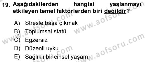 Yaşam Boyu Büyüme ve Gelişim Dersi 2020 - 2021 Yılı Yaz Okulu Sınav Soruları 19. Soru