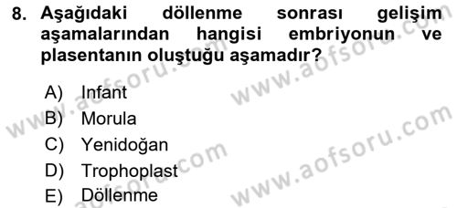 Yaşam Boyu Büyüme ve Gelişim Dersi 2021 - 2022 Yılı (Vize) Ara Sınav Soruları 8. Soru
