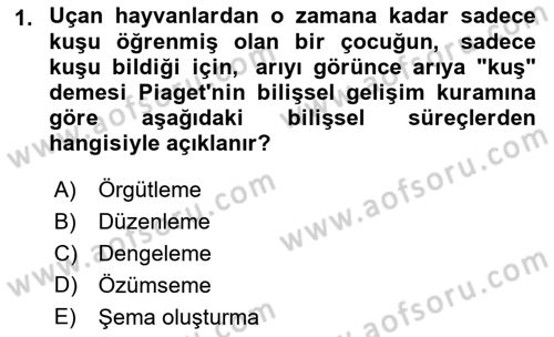 Yaşam Boyu Büyüme ve Gelişim Dersi 2021 - 2022 Yılı Yaz Okulu Sınav Soruları 1. Soru
