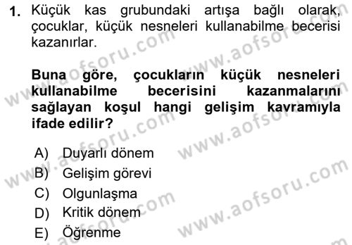 Yaşam Boyu Büyüme ve Gelişim Dersi 2022 - 2023 Yılı (Final) Dönem Sonu Sınav Soruları 1. Soru