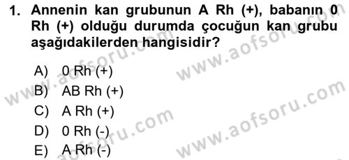 Yaşam Boyu Büyüme ve Gelişim Dersi 2022 - 2023 Yılı Yaz Okulu Sınav Soruları 1. Soru