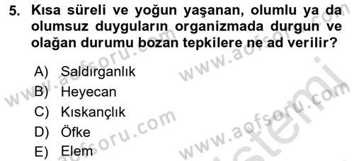 Yaşam Boyu Büyüme ve Gelişim Dersi 2022 - 2023 Yılı Yaz Okulu Sınav Soruları 5. Soru