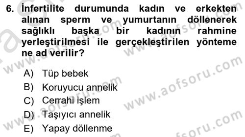 Yaşam Boyu Büyüme ve Gelişim Dersi 2023 - 2024 Yılı (Vize) Ara Sınav Soruları 6. Soru