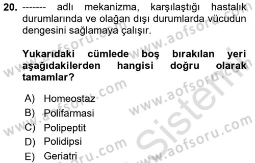 Yaşam Boyu Büyüme ve Gelişim Dersi 2023 - 2024 Yılı Yaz Okulu Sınav Soruları 20. Soru