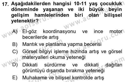 Yaşam Boyu Büyüme ve Gelişim Dersi 2024 - 2025 Yılı (Vize) Ara Sınav Soruları 17. Soru