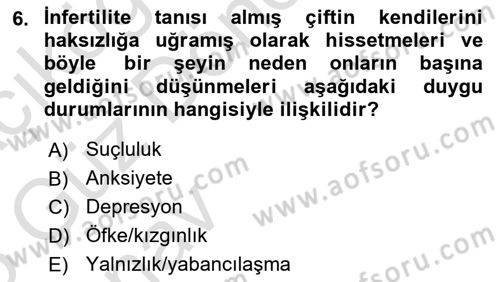Yaşam Boyu Büyüme ve Gelişim Dersi 2024 - 2025 Yılı (Vize) Ara Sınav Soruları 6. Soru