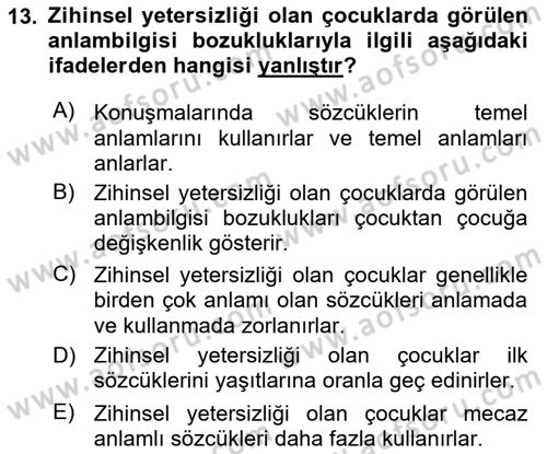 İletişim ve Alternatif İletişim Sistemleri Dersi 2024 - 2025 Yılı (Vize) Ara Sınav Soruları 13. Soru