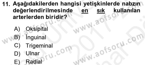 Temel Bakım ve Rehabilitasyon 1 Dersi 2017 - 2018 Yılı (Vize) Ara Sınav Soruları 11. Soru
