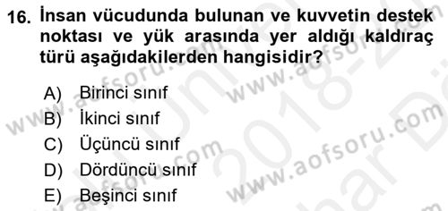 Temel Bakım ve Rehabilitasyon 1 Dersi 2018 - 2019 Yılı (Vize) Ara Sınav Soruları 16. Soru