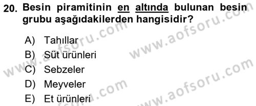 Temel Bakım ve Rehabilitasyon 1 Dersi 2018 - 2019 Yılı (Final) Dönem Sonu Sınav Soruları 20. Soru