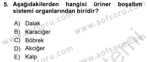 Temel Bakım ve Rehabilitasyon 1 Dersi 2020 - 2021 Yılı Yaz Okulu Sınav Soruları 5. Soru