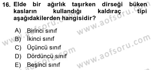 Temel Bakım ve Rehabilitasyon 1 Dersi 2021 - 2022 Yılı (Vize) Ara Sınav Soruları 16. Soru