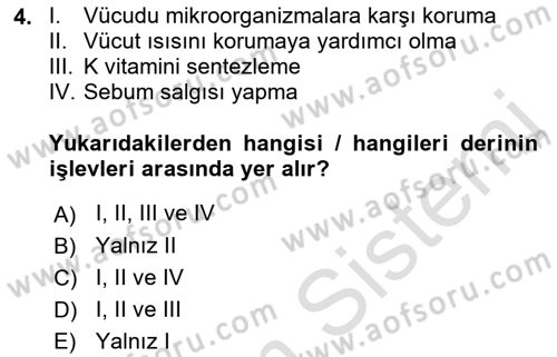 Temel Bakım ve Rehabilitasyon 1 Dersi 2021 - 2022 Yılı Yaz Okulu Sınav Soruları 4. Soru