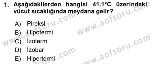 Temel Bakım ve Rehabilitasyon 1 Dersi 2022 - 2023 Yılı Yaz Okulu Sınav Soruları 1. Soru